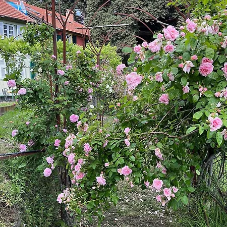 Ponzio Διαμέρισμα